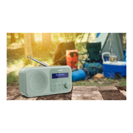 Sharp Tokyo Digital Radio DR-P420(GN) Bluetooth Wireless connection – 8
