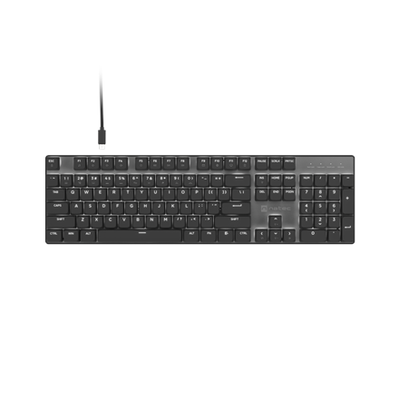 Natec Amberjack Keyboard Wired US