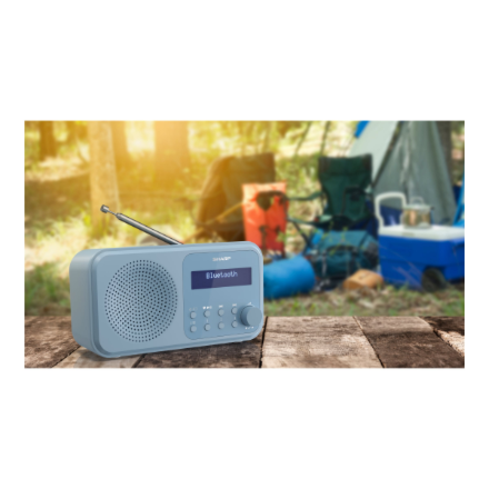 Sharp Tokyo Digital Radio DR-P420(BL) Bluetooth – 9