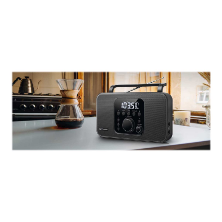 Muse Radio M-091R Alarm function – 3