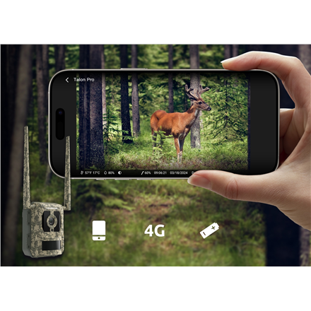 Reolink 4K 4G Cellular Trail Camera with Live Talon Series S130 8 MP MicroSD – 3
