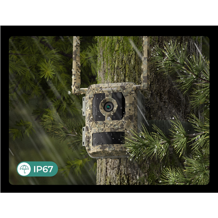 Reolink 4K 4G Cellular Trail Camera with Live Talon Series S130 8 MP MicroSD – 5