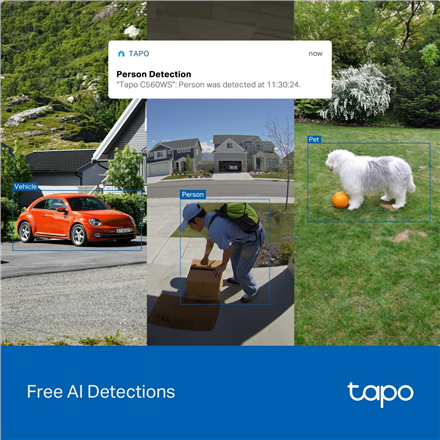 TP-LINK Pan/Tilt Security Wi-Fi Camera Tapo C560WS Dome Micro SD – 6