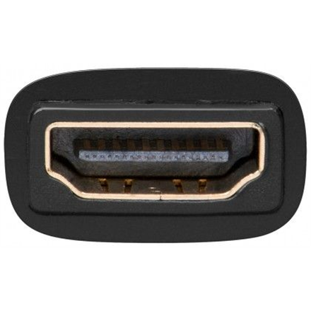 Goobay HDMI/DVI-D adapter, gold-plated 68931 – 2