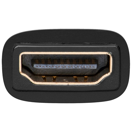 Goobay HDMI/DVI-I adapter, gold-plated 68690 HDMI female (Type A) – 2