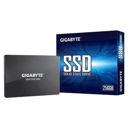 Gigabyte GP-GSTFS31256GTND 256GB SSD