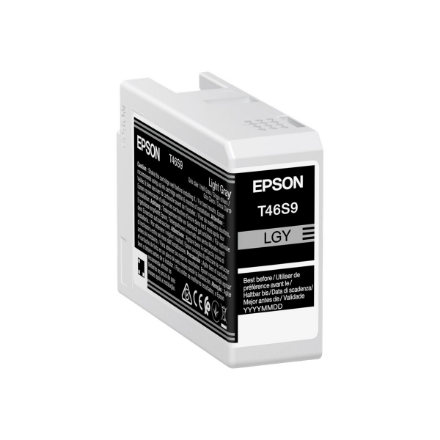 Epson UltraChrome Pro 10 ink T46S9 cartrige Light Gray