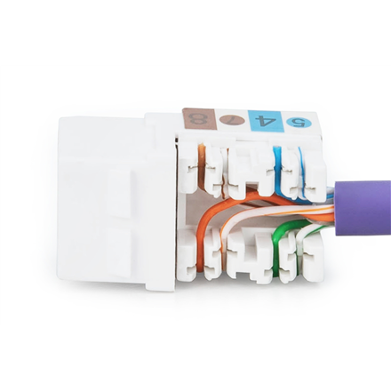 Class E CAT 6 Keystone Jack DN-93601 Unshielded RJ45 to LSA Cable 1GB – 3