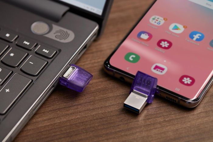 MEMORY DRIVE FLASH USB3.2/256GB DTDUO3CG3/256GB KINGSTON – 10