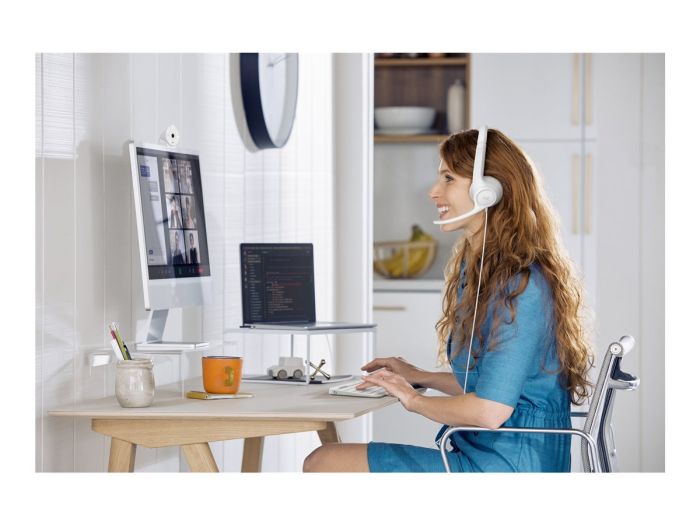 LOGI H390 USB Computer Headset - WHITE – 13