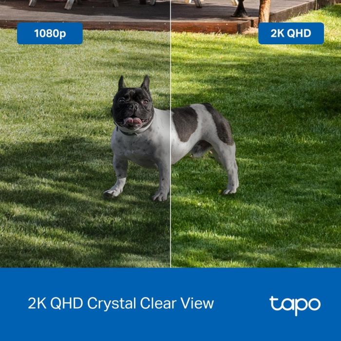 WRL CAMERA SMART H.264/TAPO C425 TP-LINK – 9