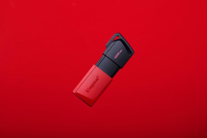 MEMORY DRIVE FLASH USB3.2/128GB DTXM/128GB KINGSTON – 8