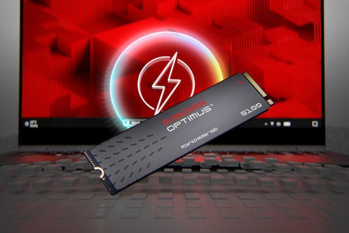 SSD SANDISK 600xTBW rating M.2 1TB – 7