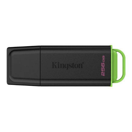 Kingston DataTraveler Exodia 256GB USB 3.2 Flash Drive